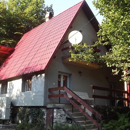 Casa De Oaspeti Boga Pietroasa  Εξωτερικό φωτογραφία
