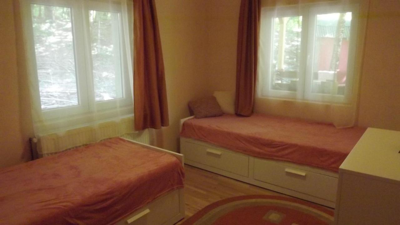 Casa De Oaspeti Boga Pietroasa  Εξωτερικό φωτογραφία