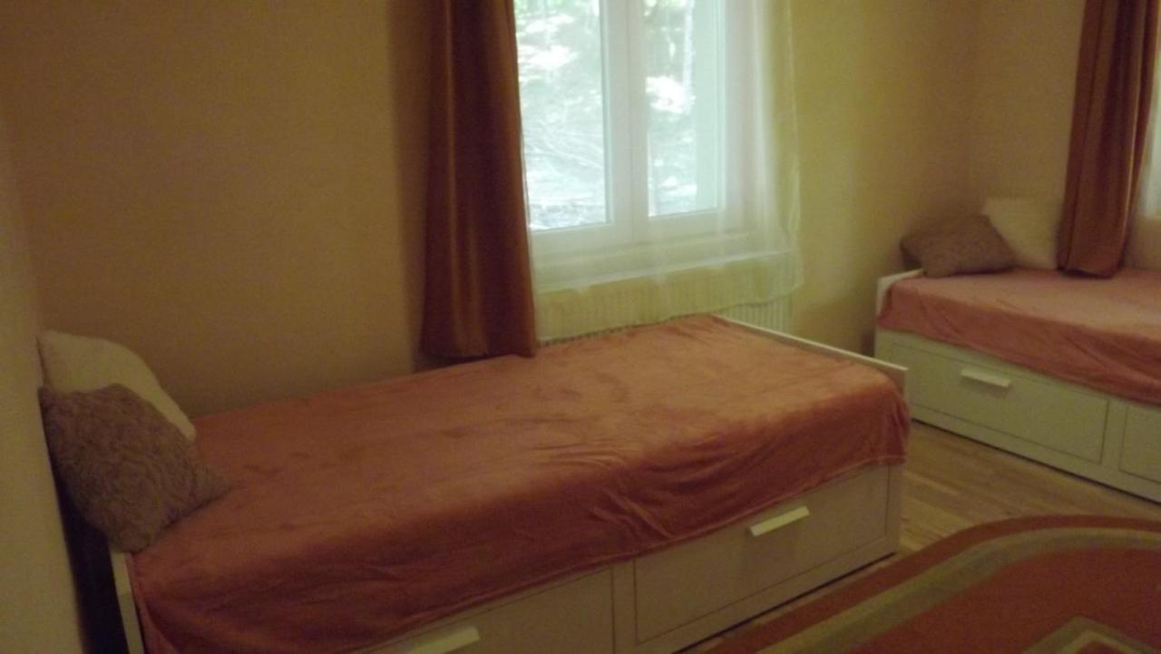 Casa De Oaspeti Boga Pietroasa  Εξωτερικό φωτογραφία